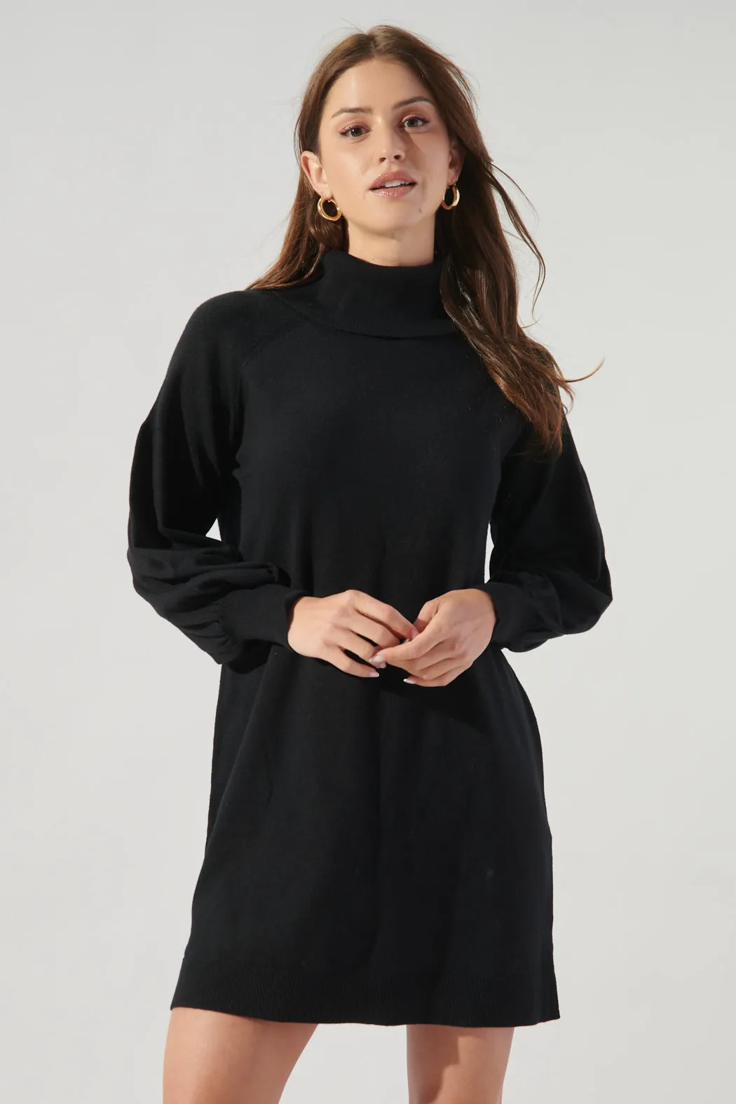 Arianne Turtleneck Sweater Dress