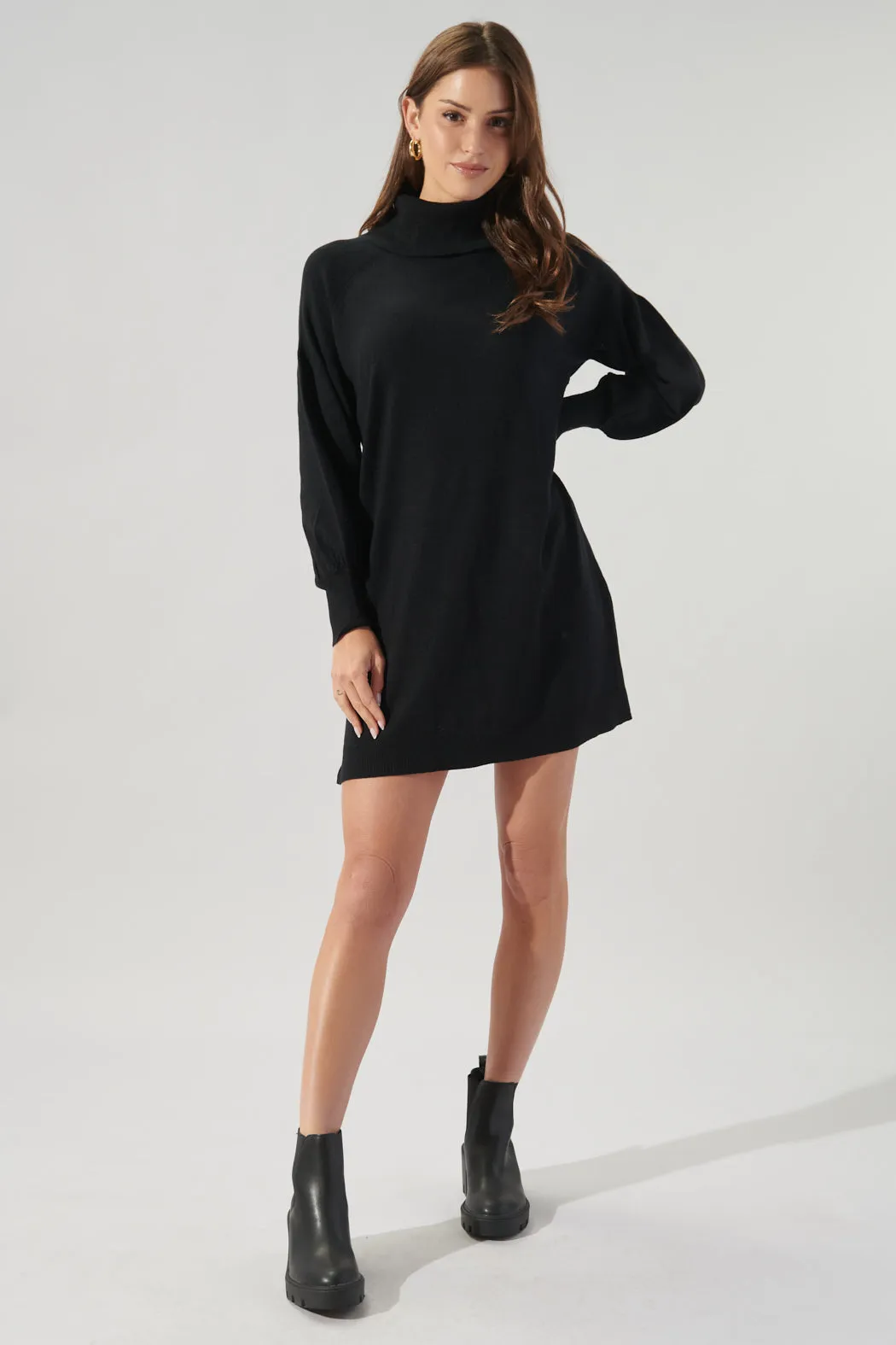 Arianne Turtleneck Sweater Dress