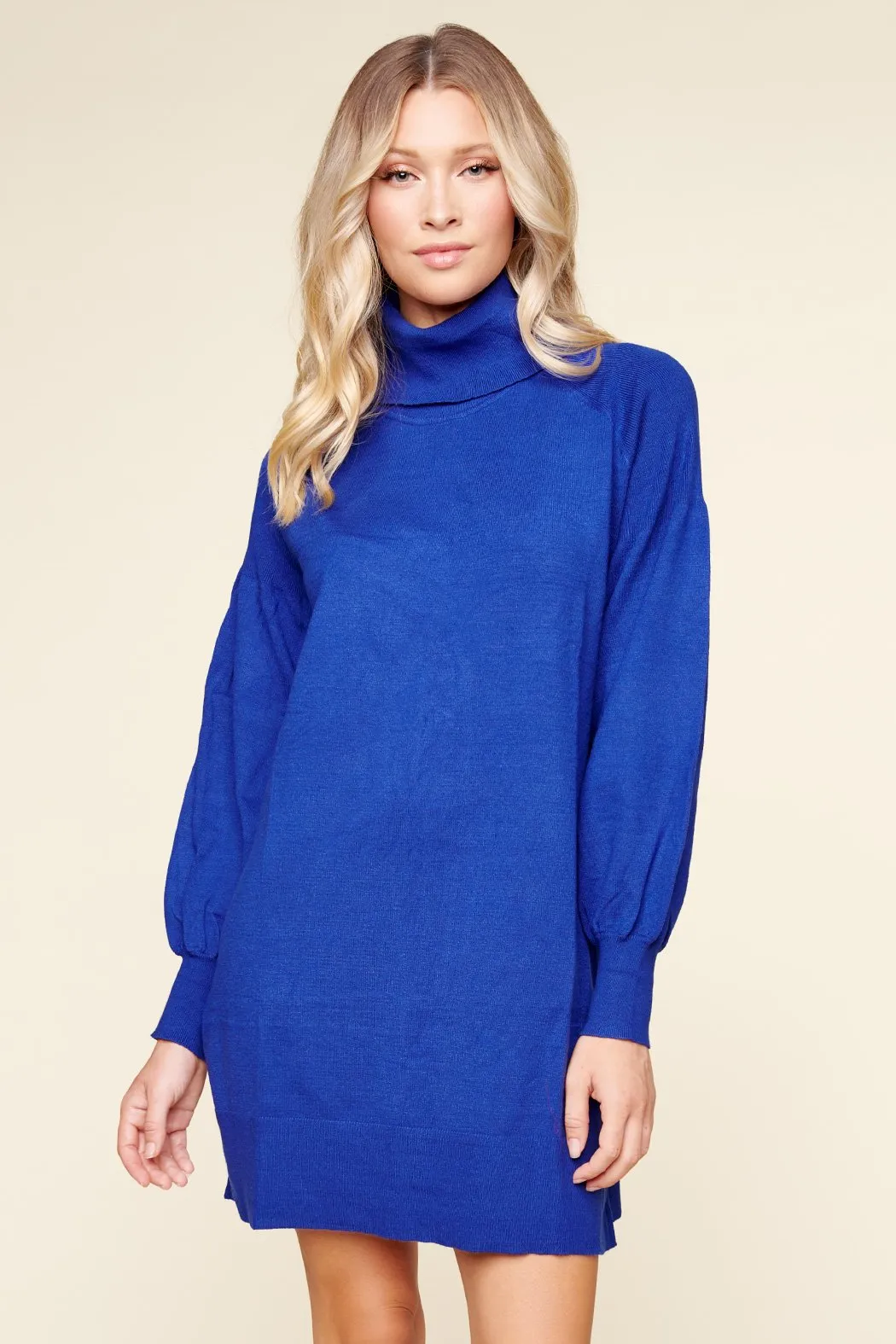Arianne Turtleneck Sweater Dress