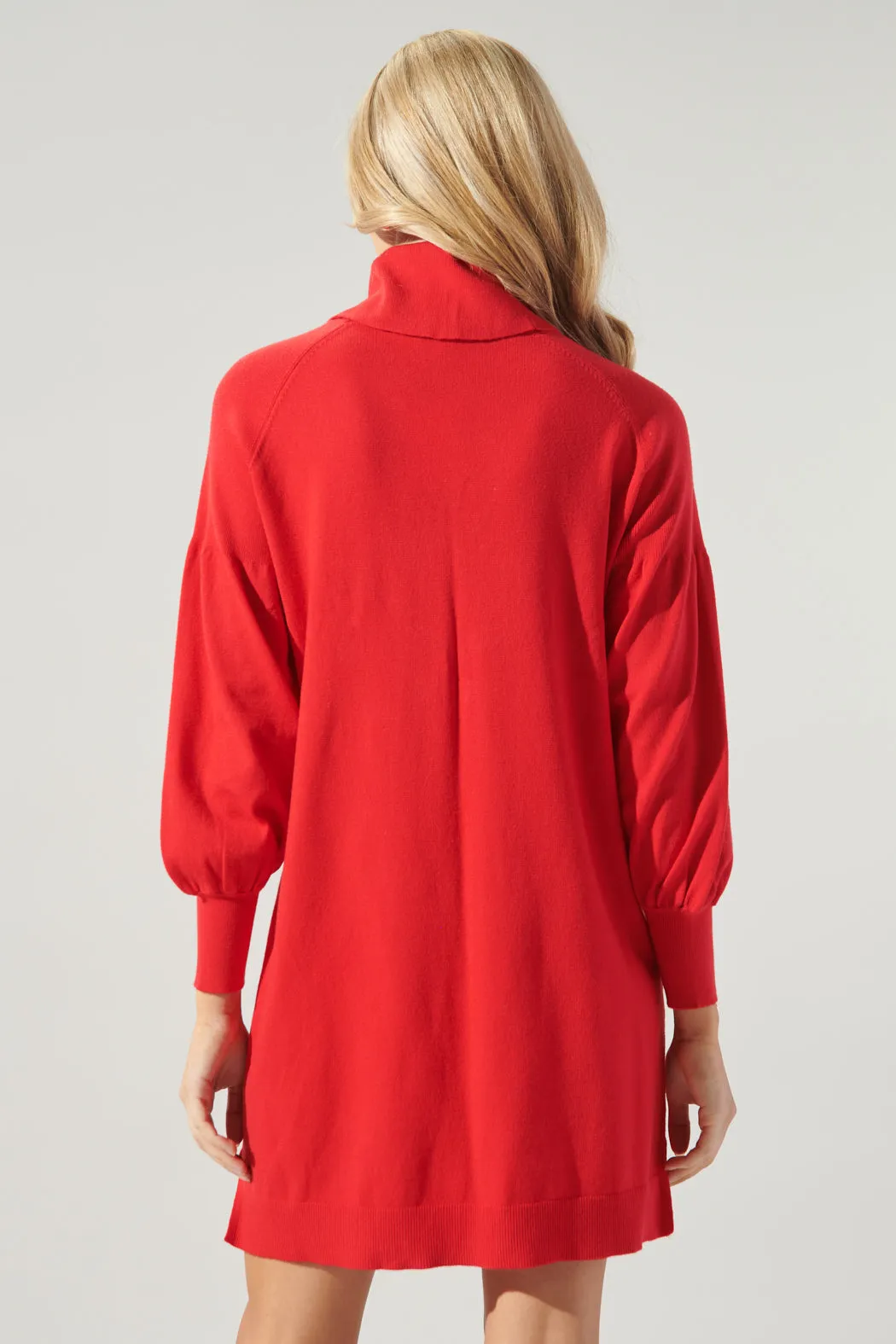 Arianne Turtleneck Sweater Dress