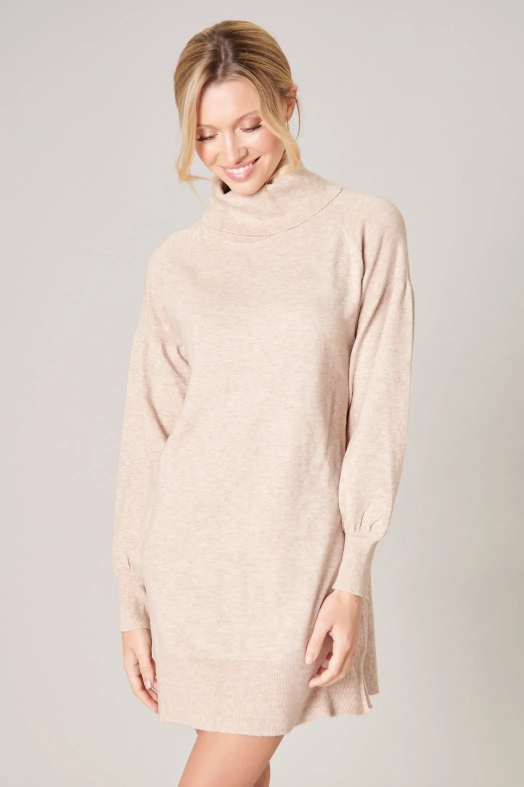 Arianne Turtleneck Sweater Dress