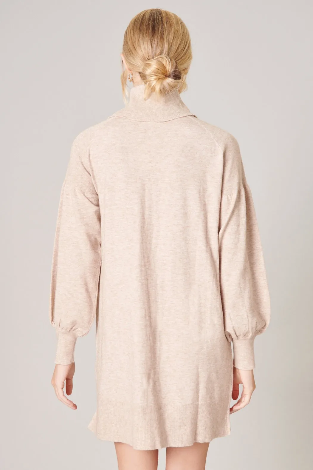 Arianne Turtleneck Sweater Dress
