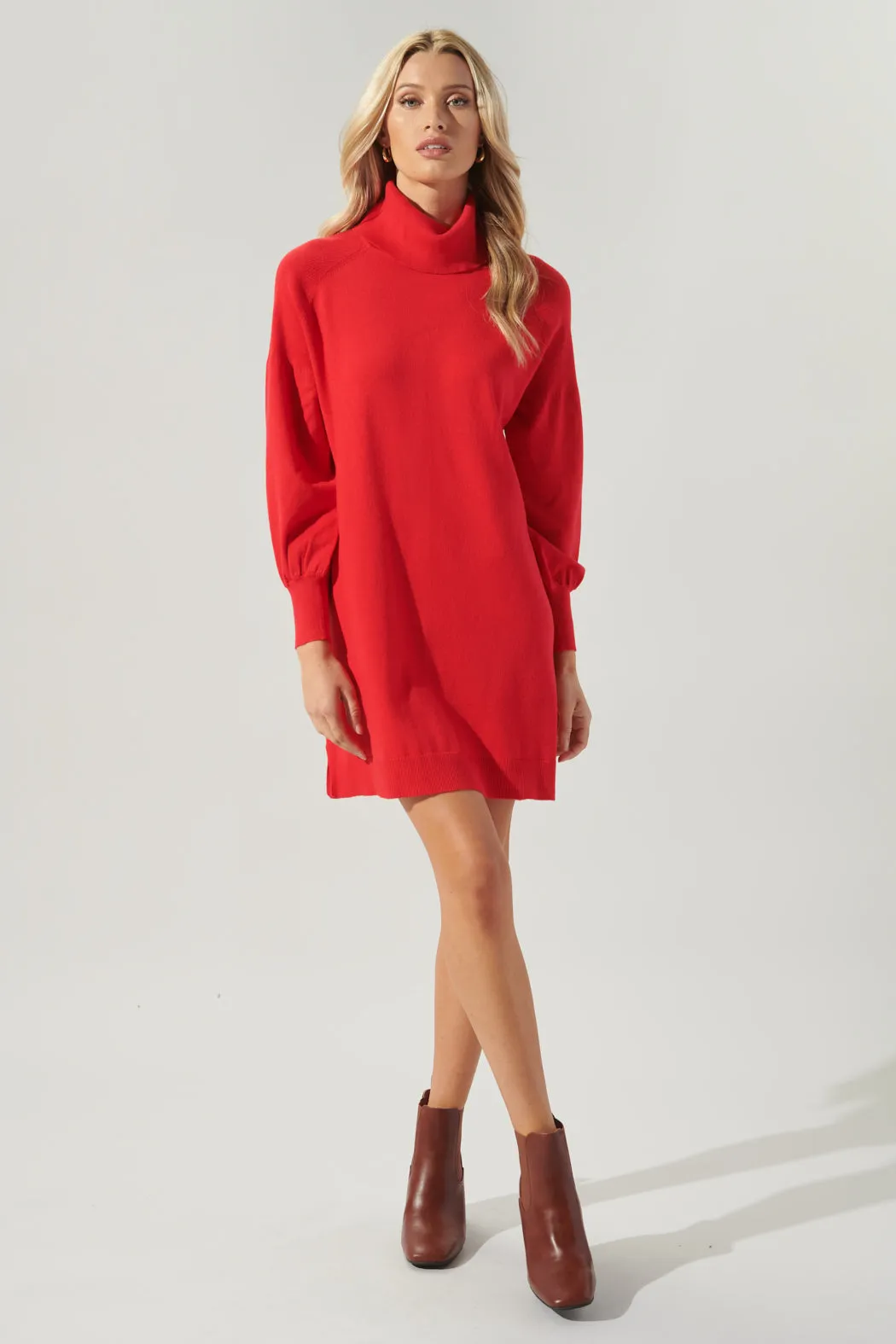 Arianne Turtleneck Sweater Dress