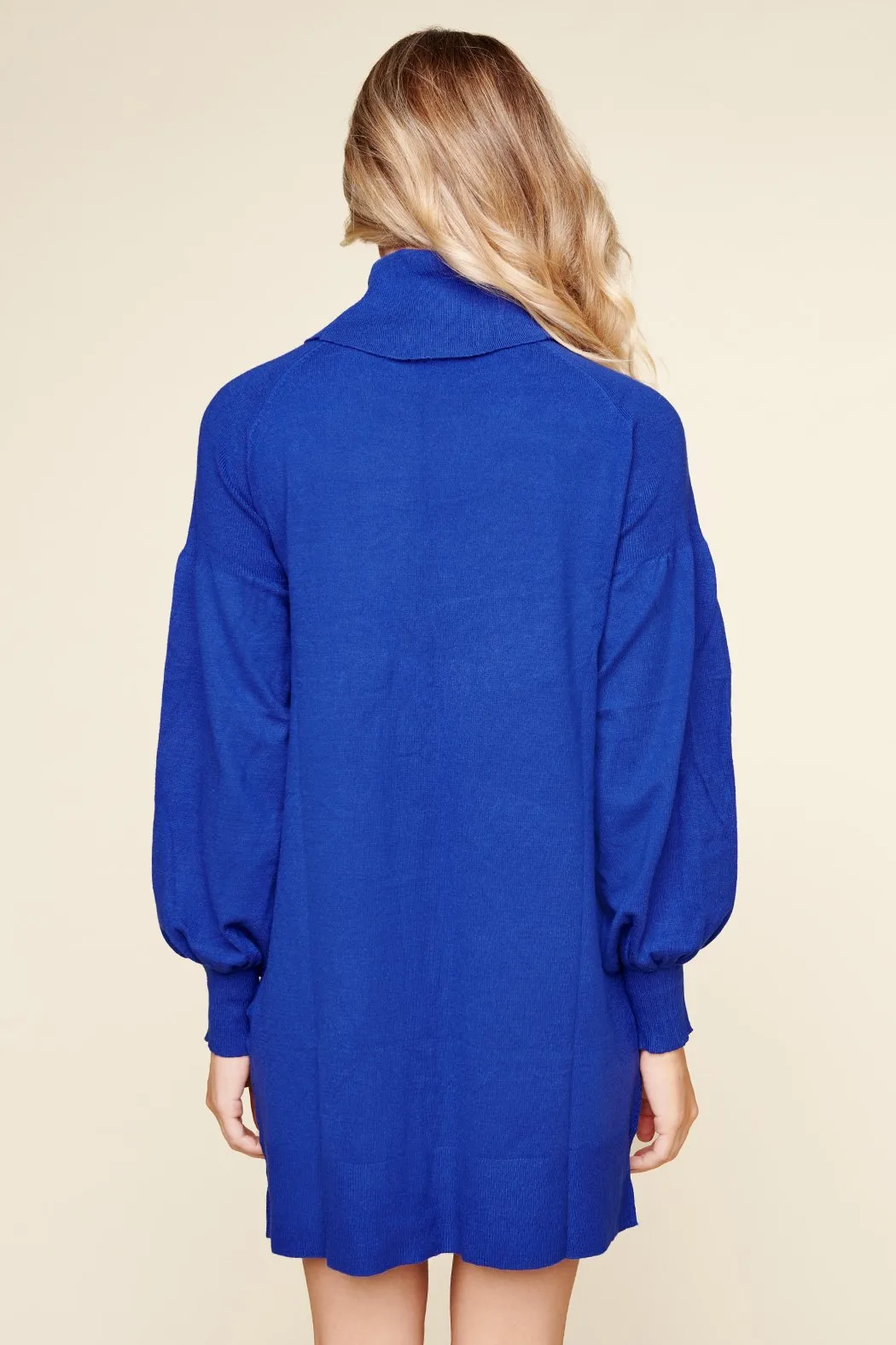 Arianne Turtleneck Sweater Dress