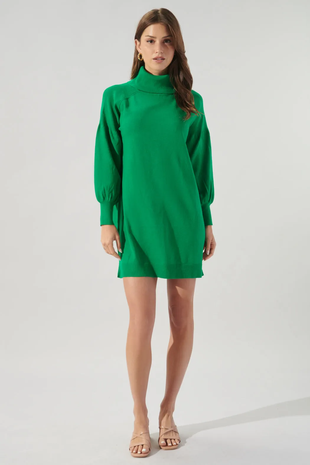 Arianne Turtleneck Sweater Dress