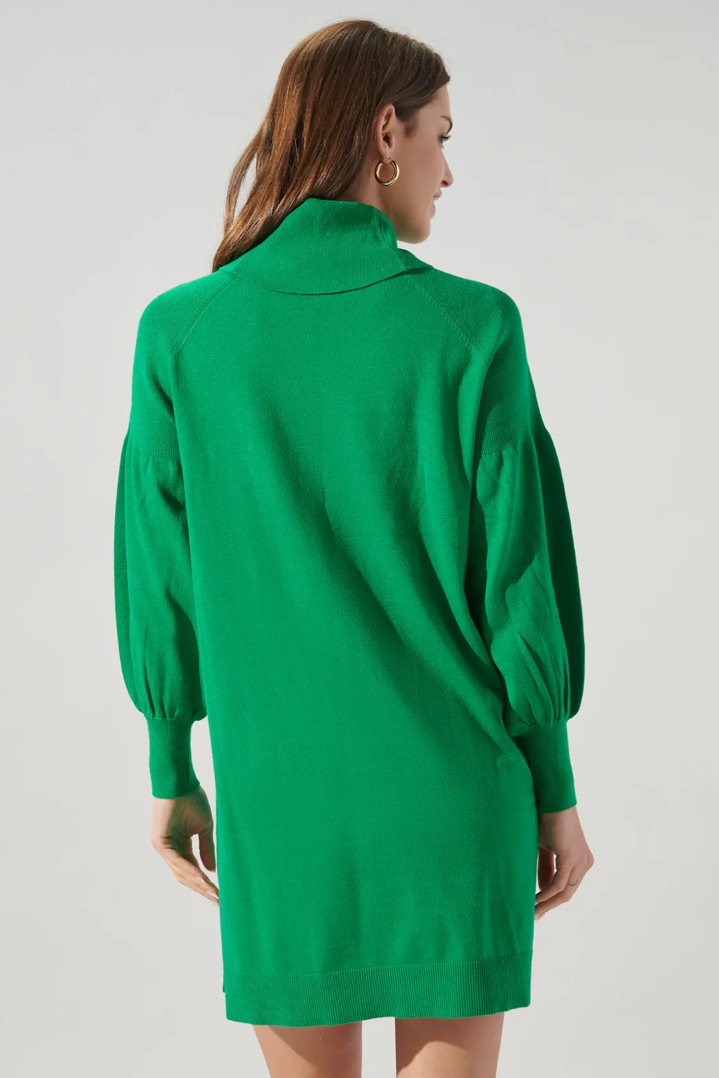 Arianne Turtleneck Sweater Dress