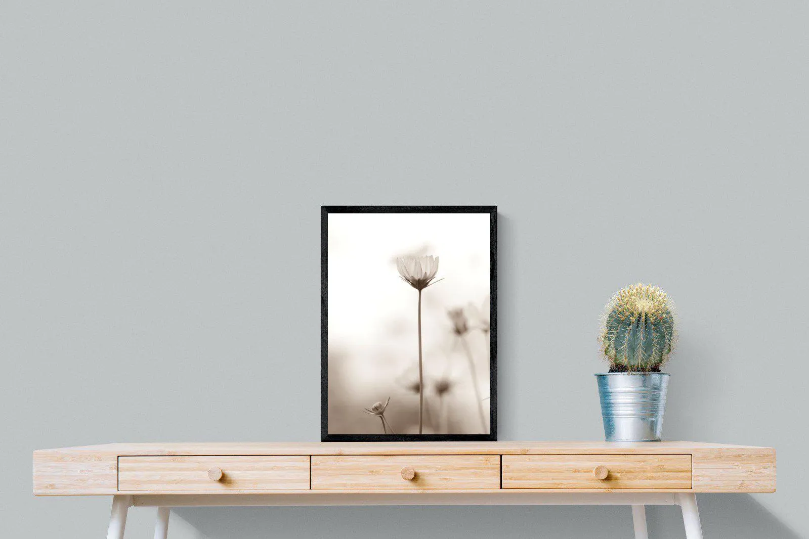Cosmos