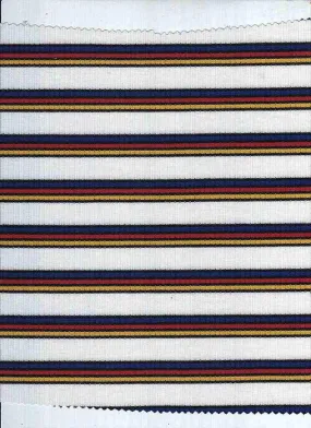 MULTICOLOR YARN DYE 4X2 RIB POLYESTER RAYON SPANDEX N NOV-STP9815