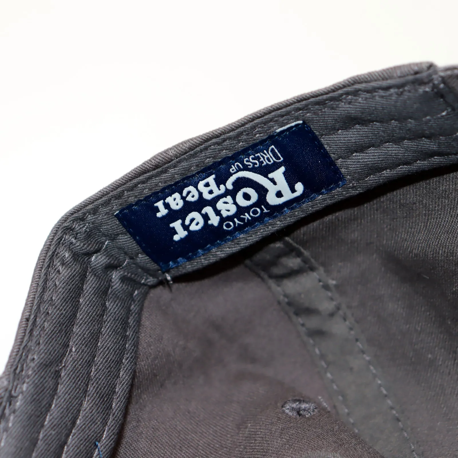 ROSTER BEAR SK8 DAD CAP - CHARCOAL